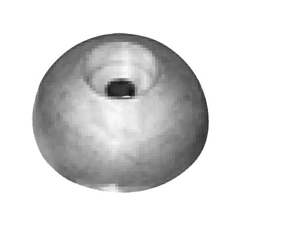 2026_05_25_1126645