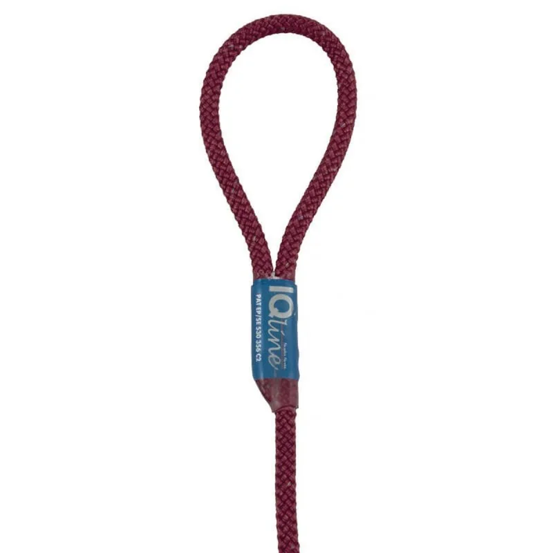 2026_05_25_1134745