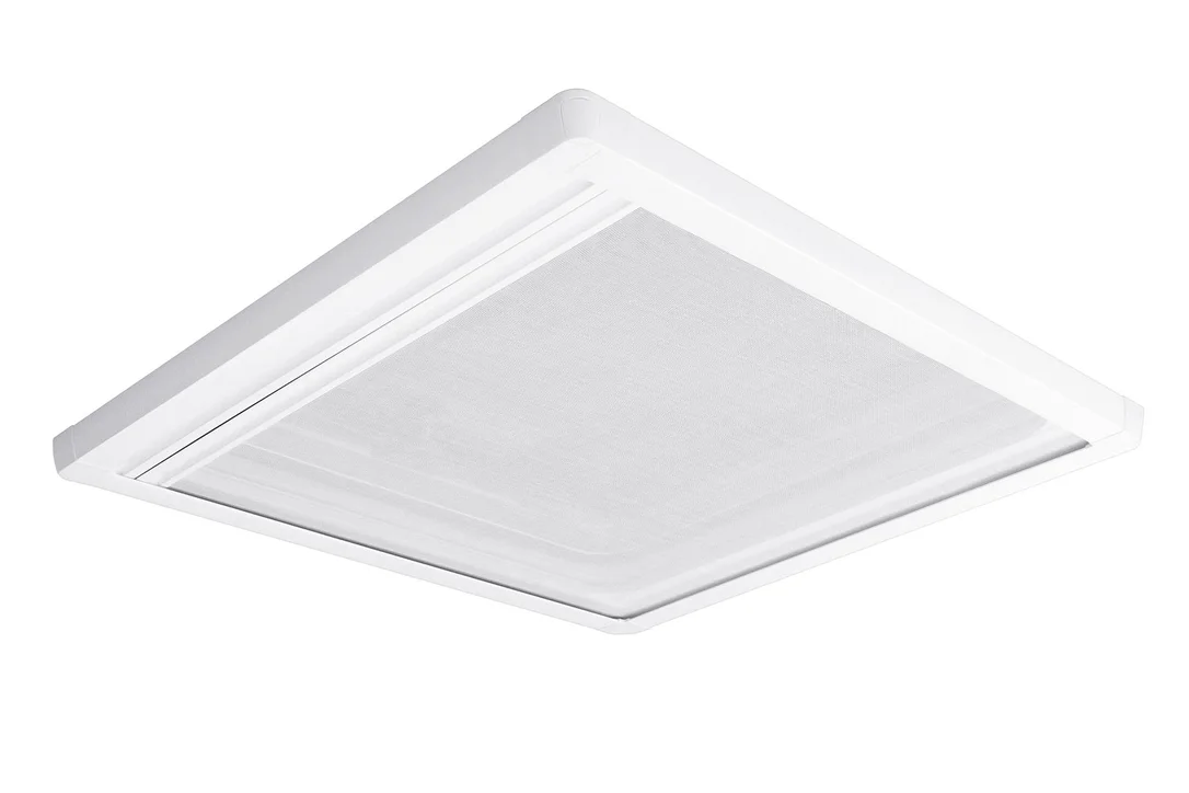 2026_05_25_1165619